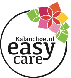 Easy care kleur bloem