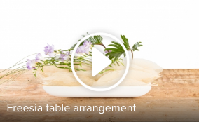 Schermafbeelding 2016 07 12 om 16.55.26