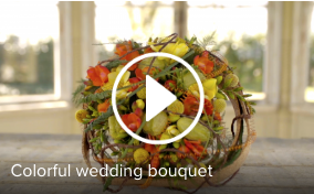 Schermafbeelding 2016 07 26 om 16.18.53