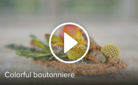 Schermafbeelding 2016 07 26 om 16.21.10