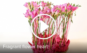 Schermafbeelding 2016 07 26 om 16.23.09