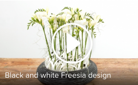 Schermafbeelding 2017 02 14 om 17.42.25