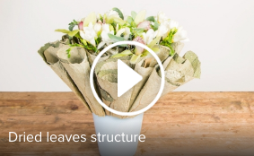 Schermafbeelding 2017 02 14 om 17.44.23