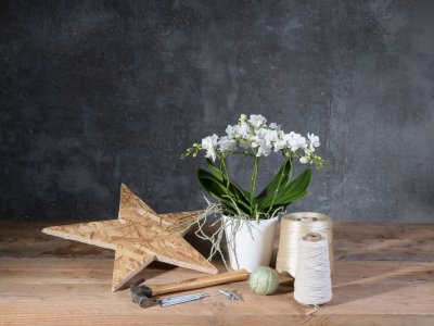 Stap voor stap tutorial - orchidee design idee 