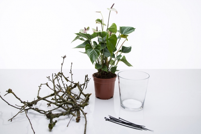 Materialen anthurium2