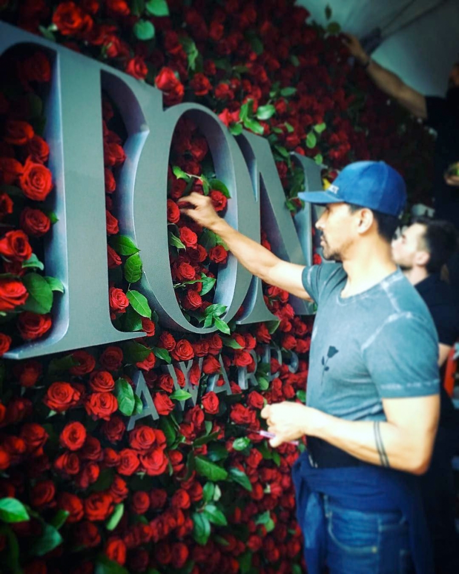 roses1