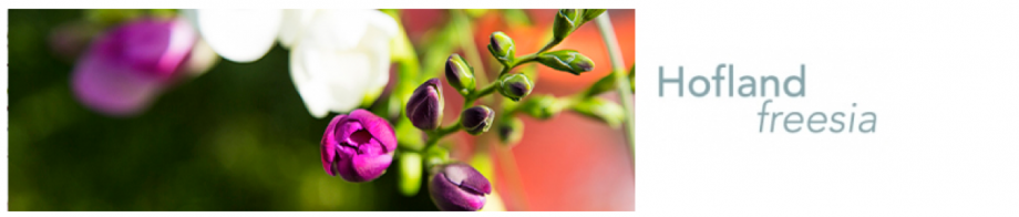 Schermafbeelding 2016 06 07 om 15.58.15