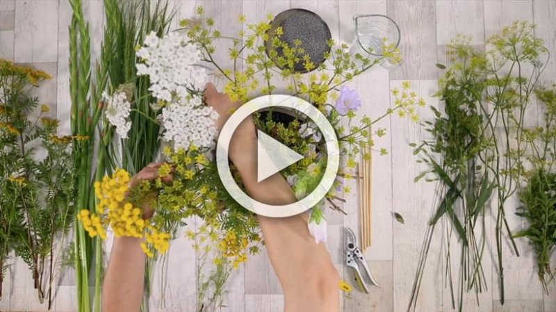 online educatie programma 3