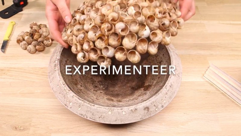 oep screenshot promo