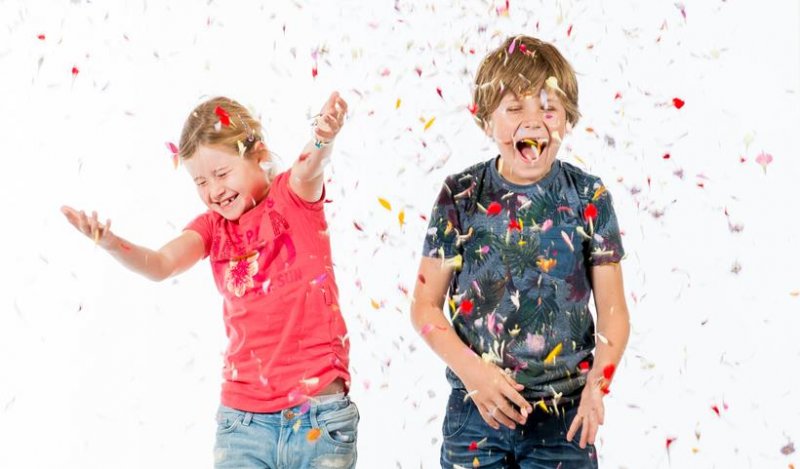 Groendoenindeklas meisjejongenbloemenconfet.121528