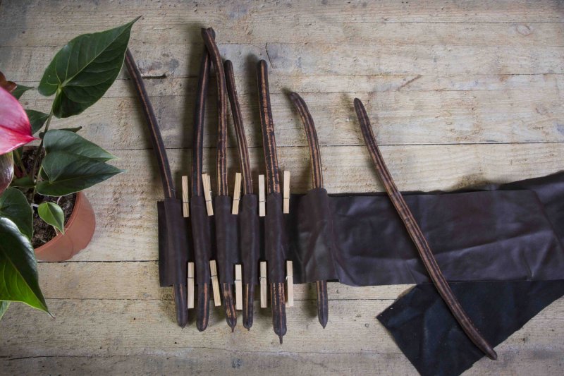 Fuerte Planta sbs1 Roos van Unen Hot Lips 4