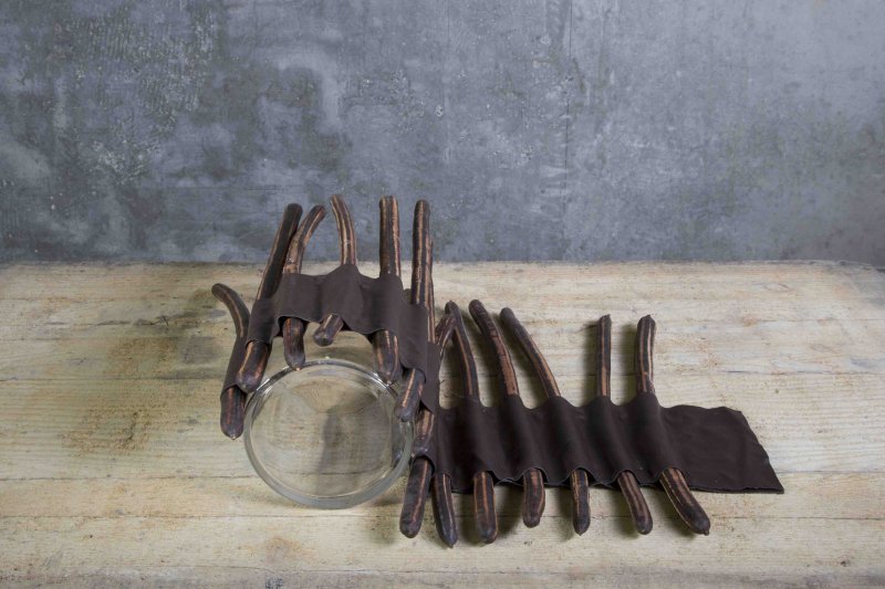 Fuerte Planta sbs1 Roos van Unen Hot Lips 5