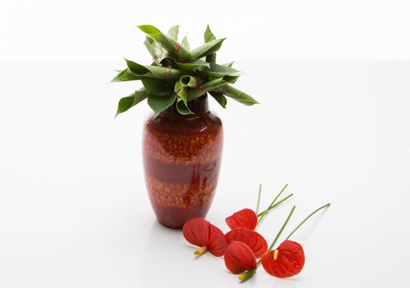 sbs Anthurium plant turns flower arrangement13