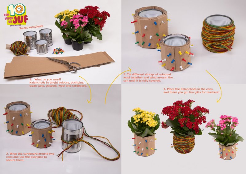 stap voor stap engels Kalanchoe