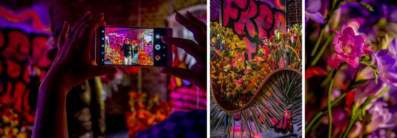 compilation freestylefreesia fleuramour 2020