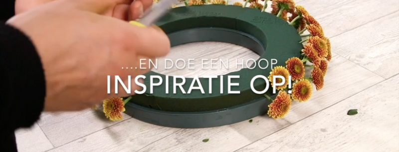 online educatie programma 1