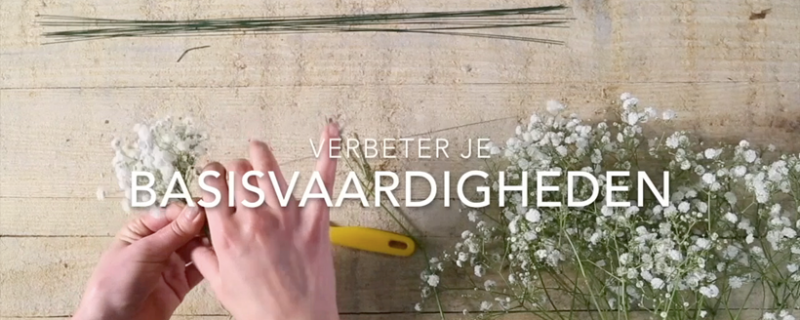 online educatie programma 2