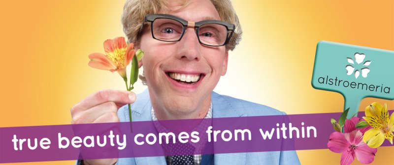 Alstroemeria ENG website