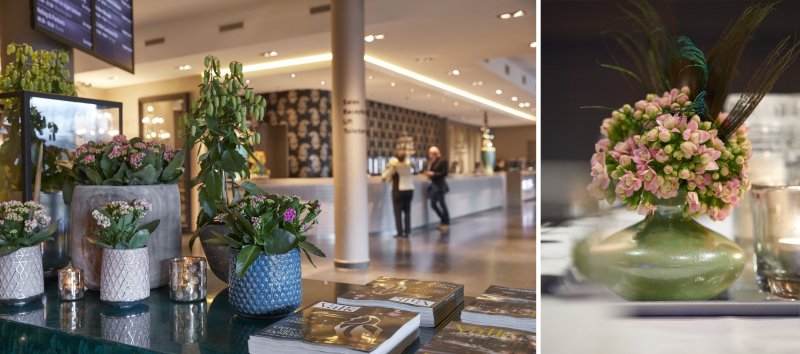 Kalanchoe Hospitality3