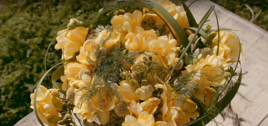 Schermafbeelding 2017 08 22 om 16.55.03