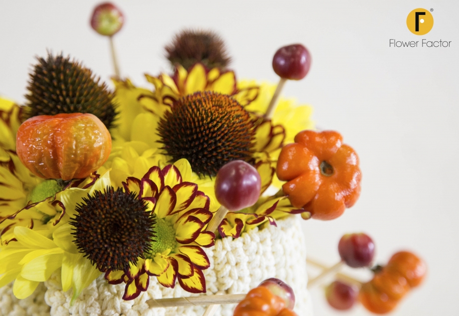 Zentoo chrysant32 herfst prikken