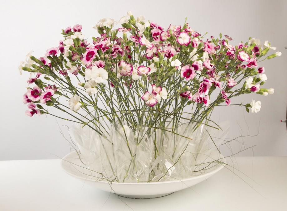 step by step Hilverda eindresultaat