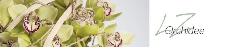 lz orchidee banner
