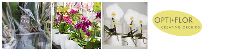 Schermafbeelding 2016 06 07 om 15.57.54