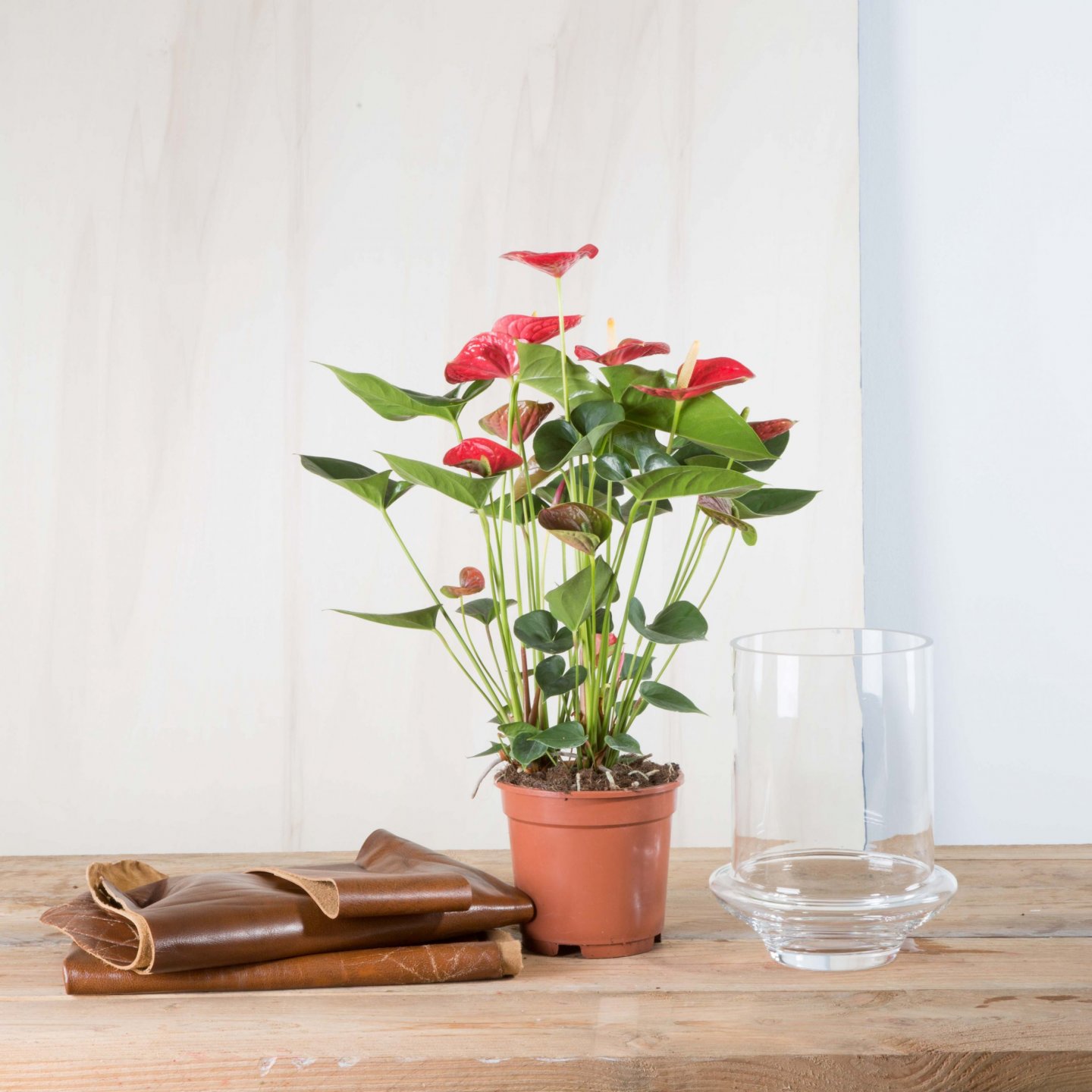 Stap voor stap: Anthurium arrangement met eigenwijze leather look