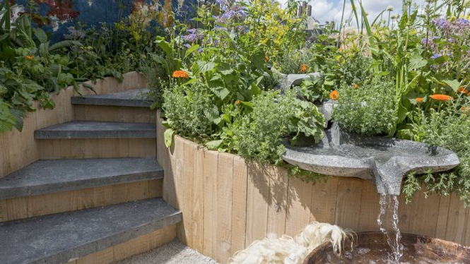 garden3