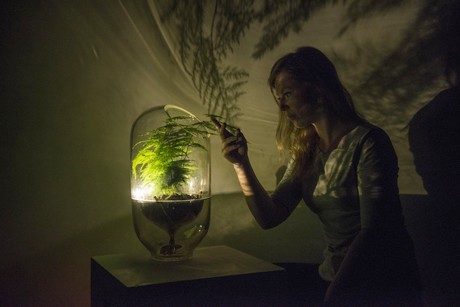livinglight