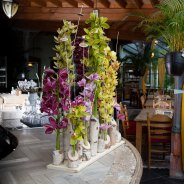 Flower arrangement for the bar with cut Cymbidium