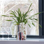 Fris interieur idee met de Ice Cascade Cymbidium