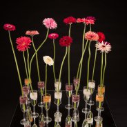 Mix Mini Gerbera Christmas decoration