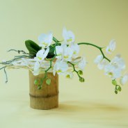 Phalaenopsis orchidee van Opti-flor in origineel design van Pim van den Akker