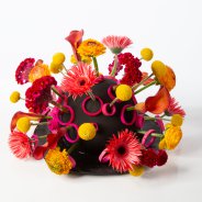 OASIS Black Ideal design Roos van Unen -  Flower Factor