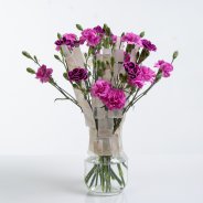 Trendy Dianthus boeket geschikt in een vaas