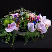 designZuzanna Kazimimska Flora kreativ blumenshop sessie 3