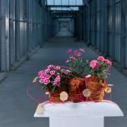 Florale jam sessies bij HilverdaKooij - design Dennis Lanzaat