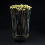 Kleurrijk contrast met Sun Up van Zentoo