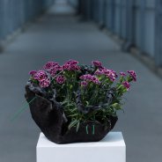 Florale jam sessies bij HilverdaKooij - design kristel van dijk