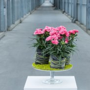 Florale jam sessies bij HilverdaKooij - design Evelien van de sande 
