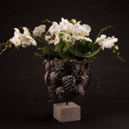 Willd Orchid van Opti-flor in een winters design van Roos van Unen