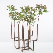 Industrial Alstroemeria design