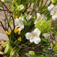 Alstroemeria spring bouquet