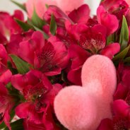 beautiful pink Alstroemeria that says I love you!