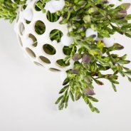 Kleurrijke Freesia bol design