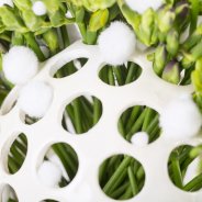 Kleurrijke Freesia bol close-up