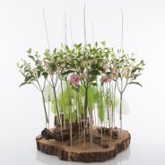 Charmelia display design David Ragg totaal