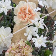 Trendy Dianthus tafelstuk - close-up